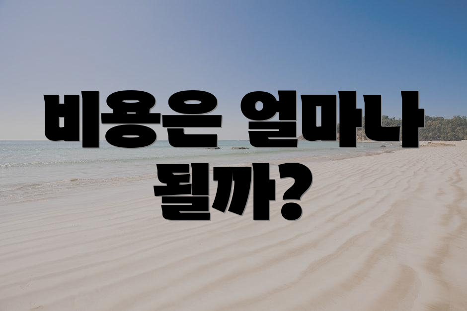 비용은 얼마나 될까?