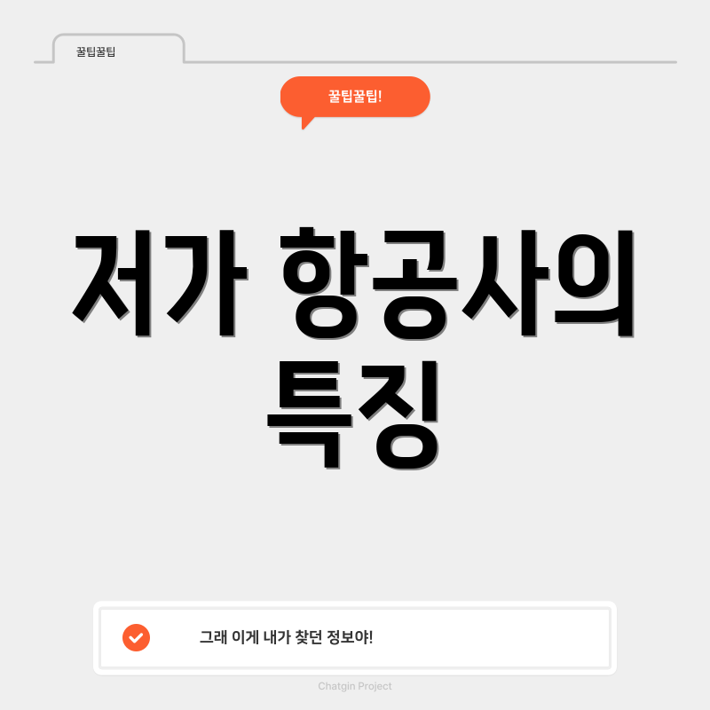 저가 항공사의 특징