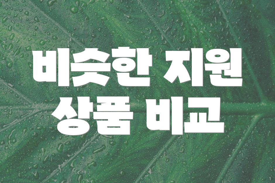비슷한 지원 상품 비교