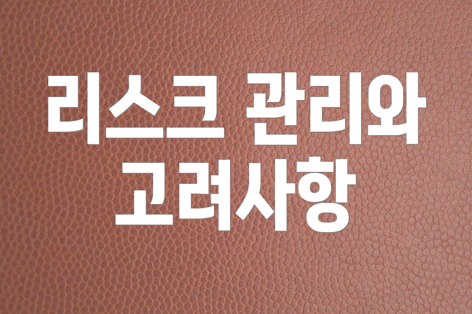 리스크 관리와 고려사항