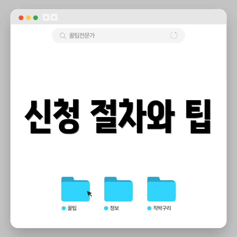 신청 절차와 팁