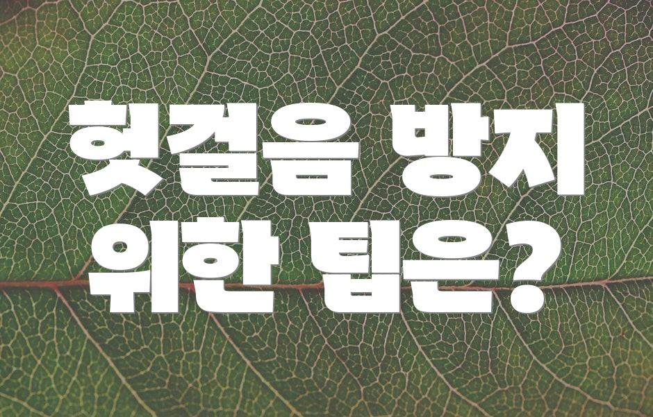 헛걸음 방지 위한 팁은?