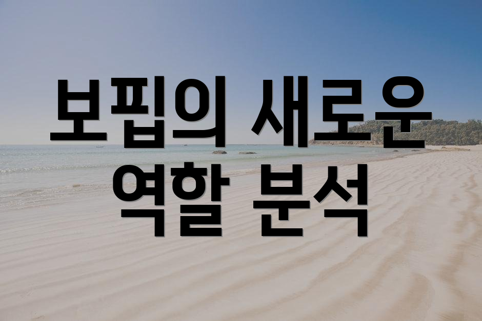 보핍의 새로운 역할 분석
