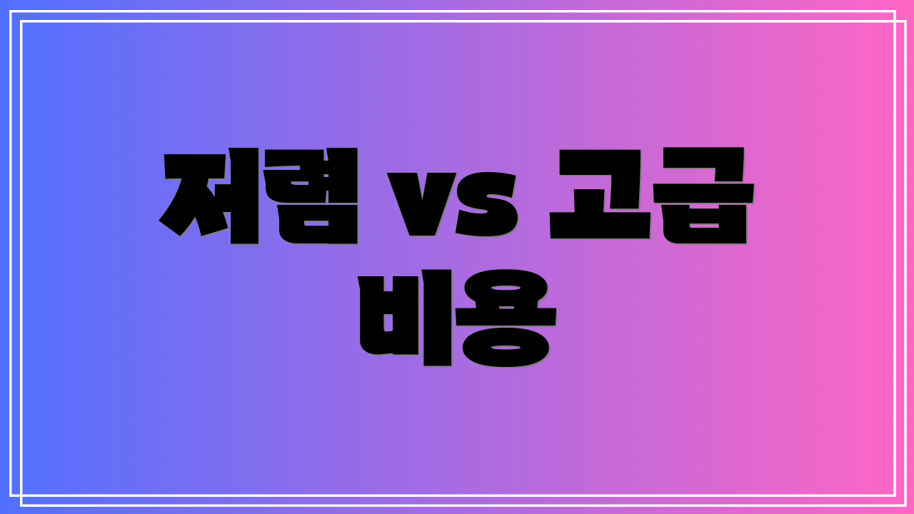 저렴 vs 고급 비용