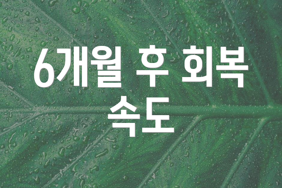 6개월 후 회복 속도