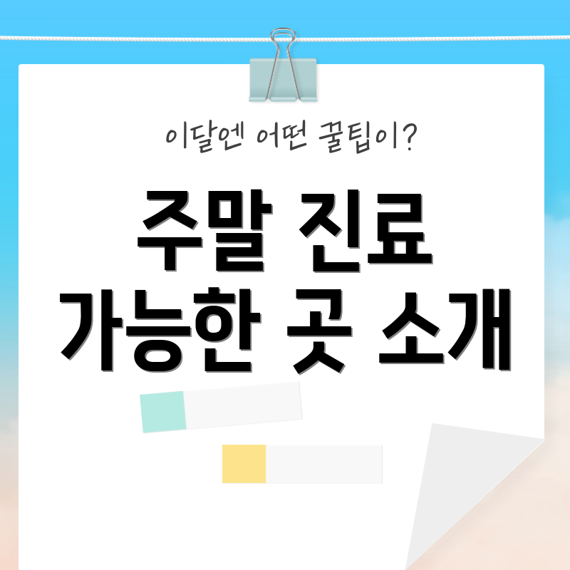 주말 진료 가능한 곳 소개