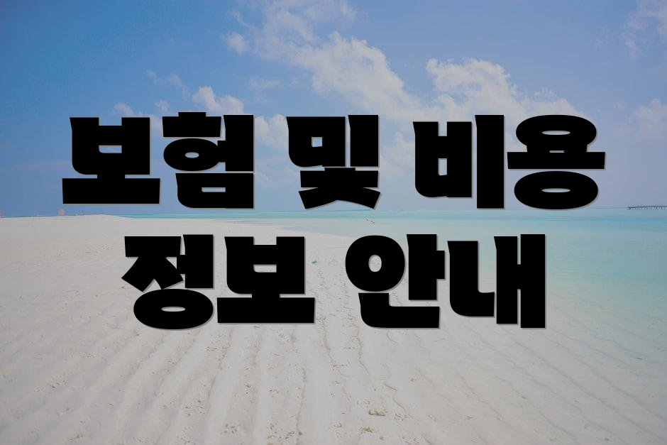 보험 및 비용 정보 안내