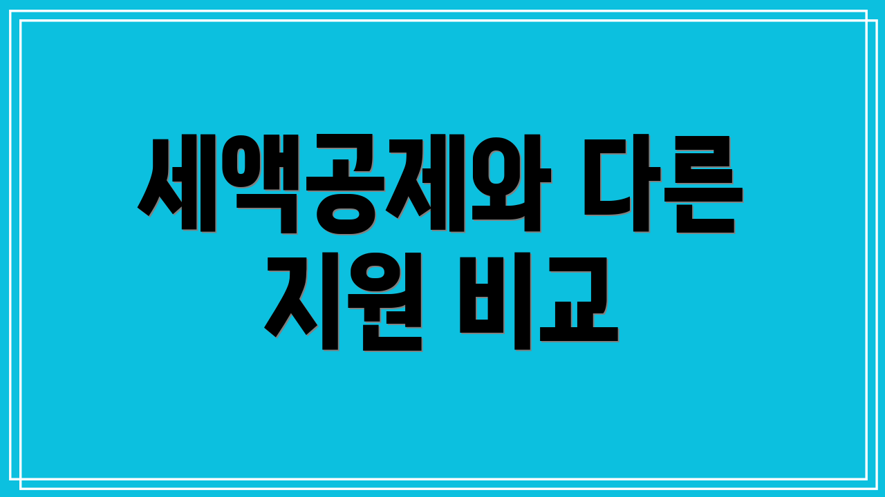 세액공제와 다른 지원 비교