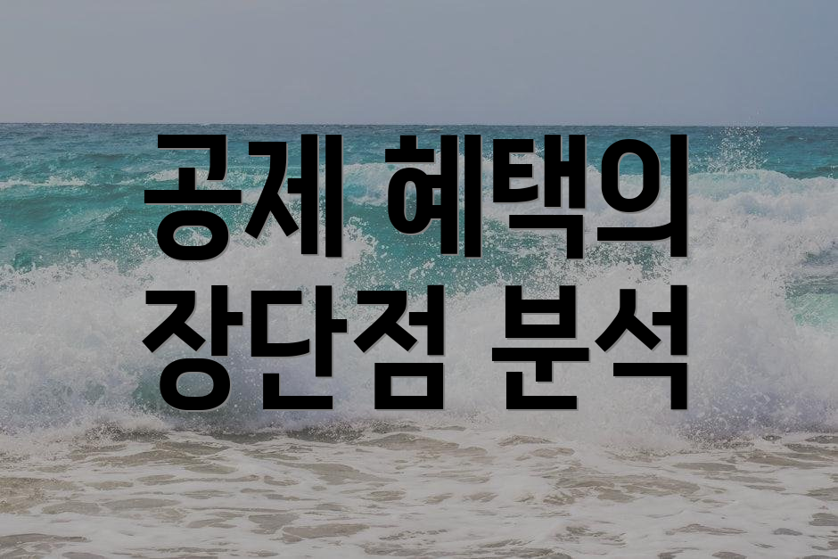 공제 혜택의 장단점 분석