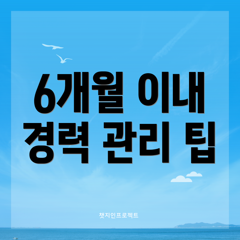 6개월 이내 경력 관리 팁