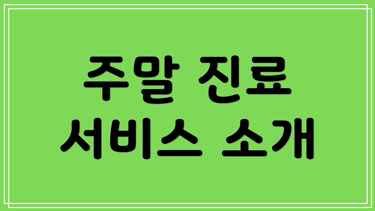 주말 진료 서비스 소개