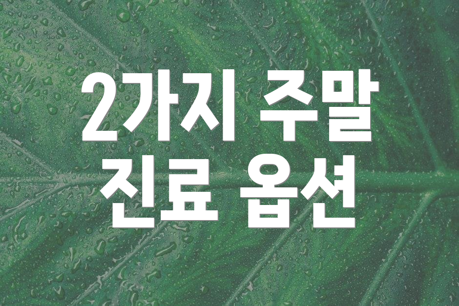 2가지 주말 진료 옵션