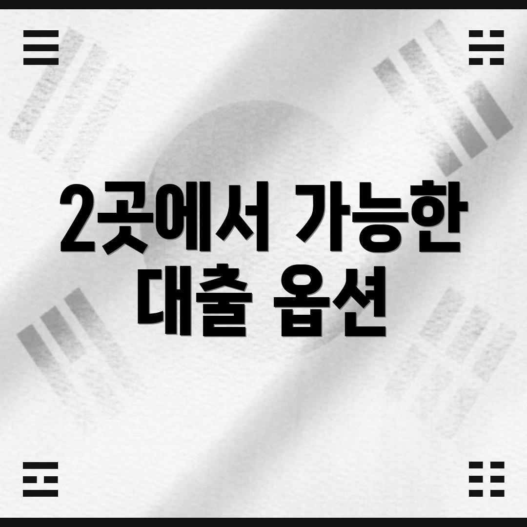 2곳에서 가능한 대출 옵션