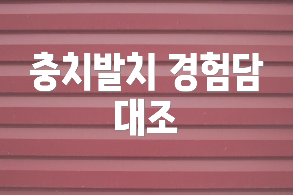 충치발치 경험담 대조