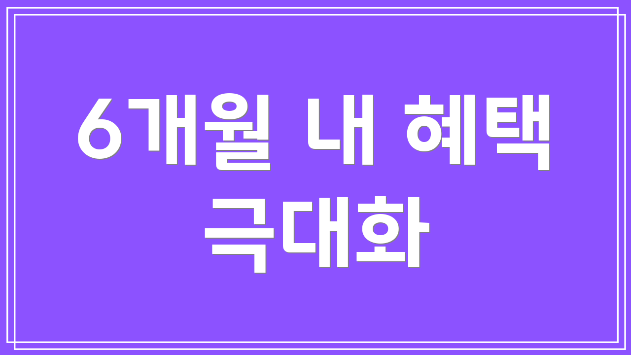 6개월 내 혜택 극대화