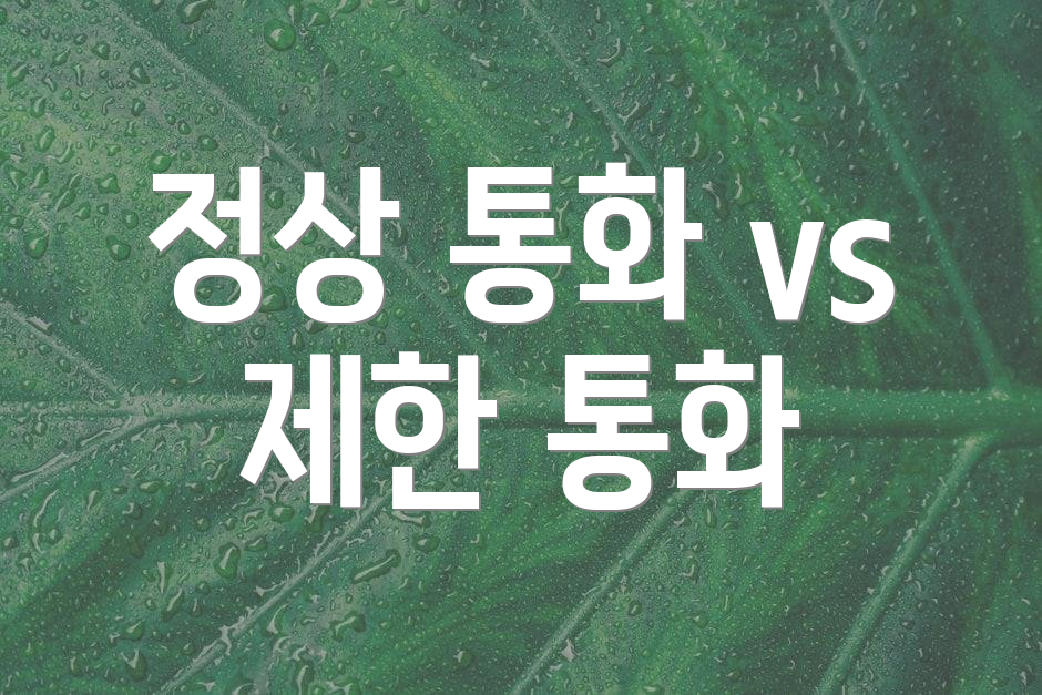 정상 통화 vs 제한 통화