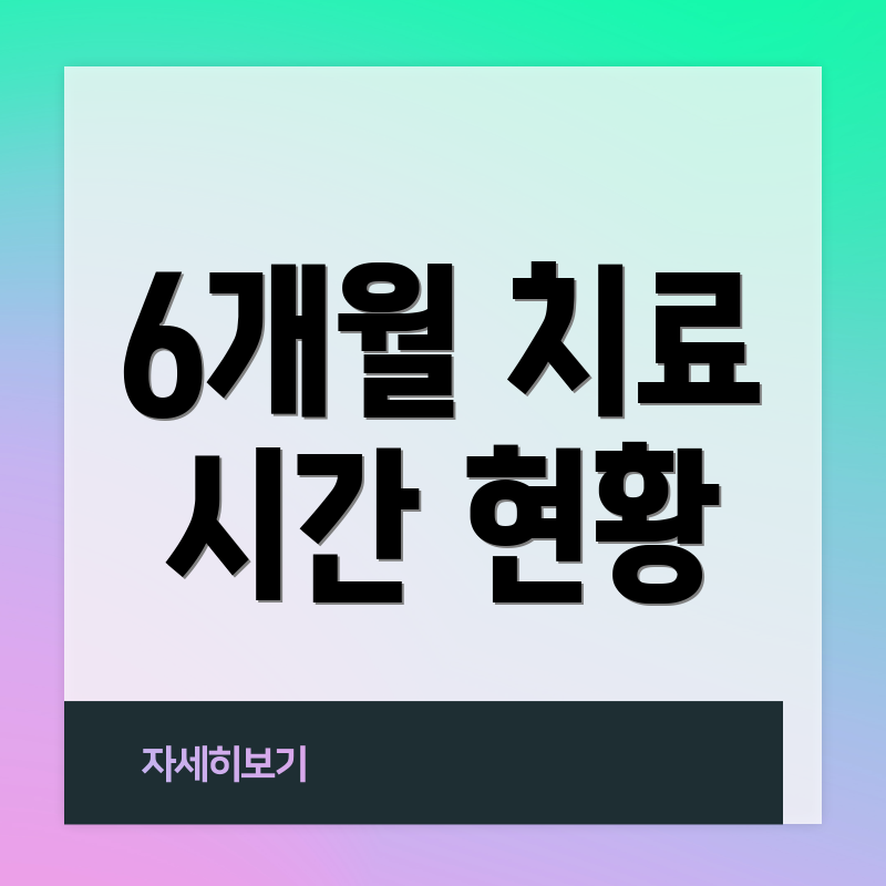 6개월 치료 시간 현황