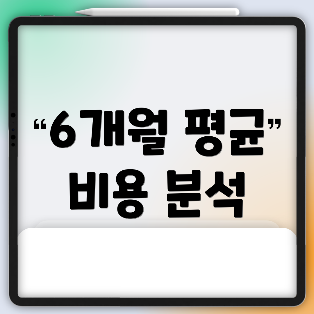 6개월 평균 비용 분석