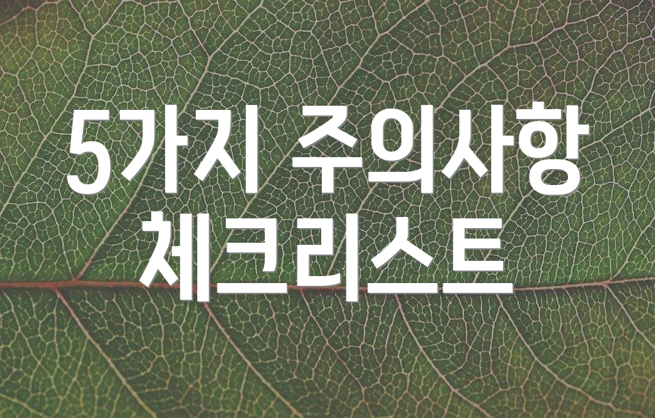 5가지 주의사항 체크리스트