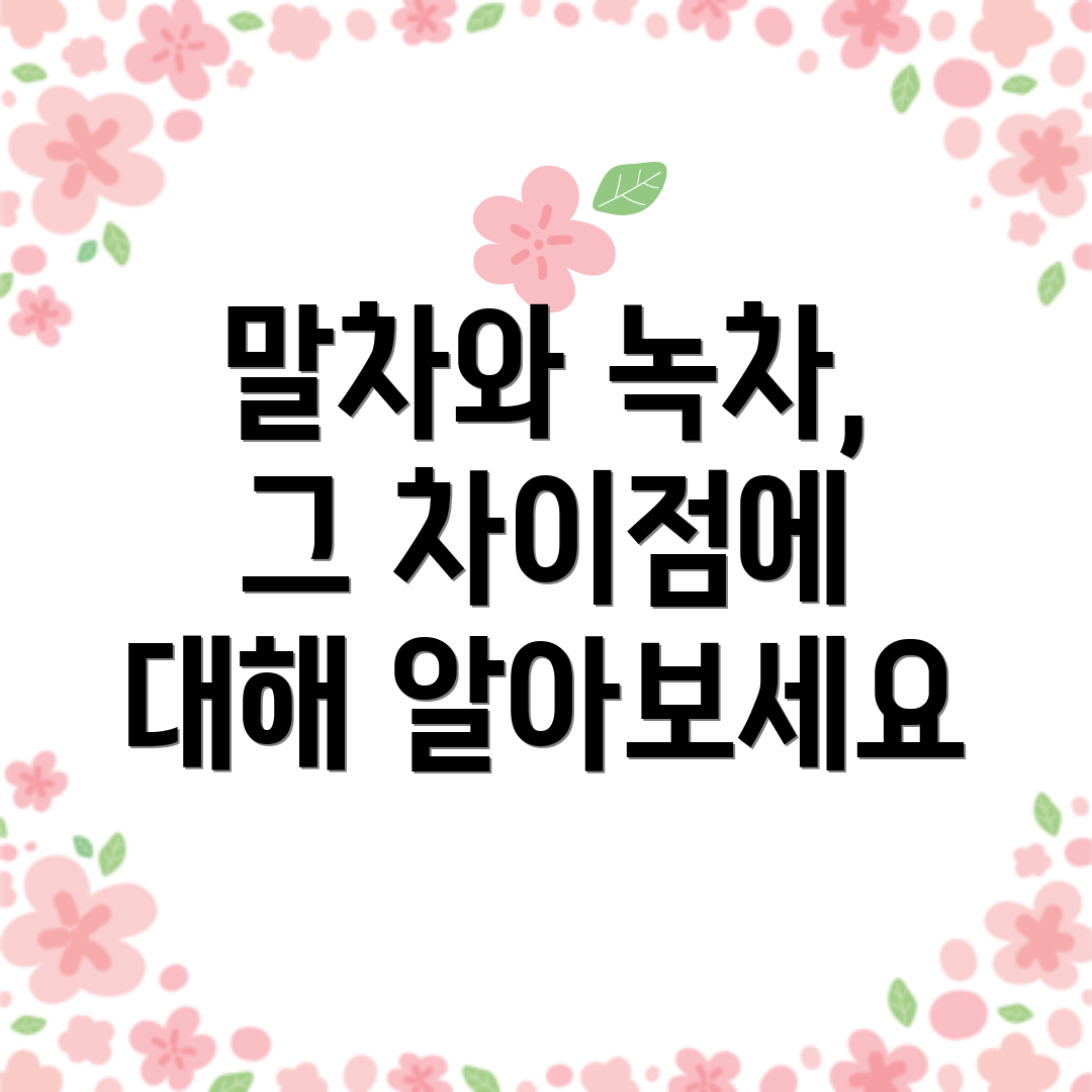 말차와 녹차, 그 차이점에 대해 알아보세요
