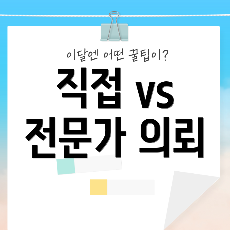 직접 vs 전문가 의뢰