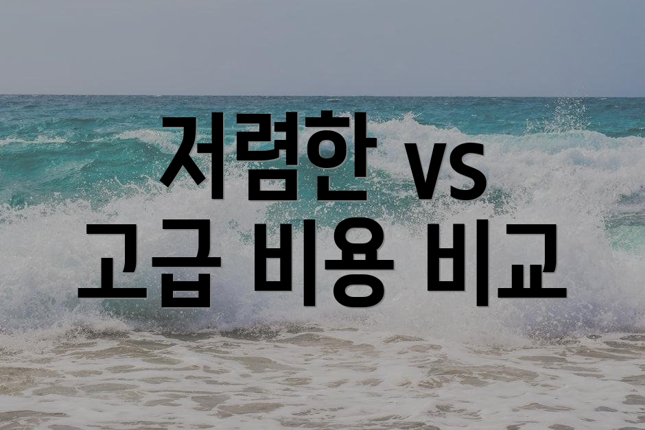 저렴한 vs 고급 비용 비교