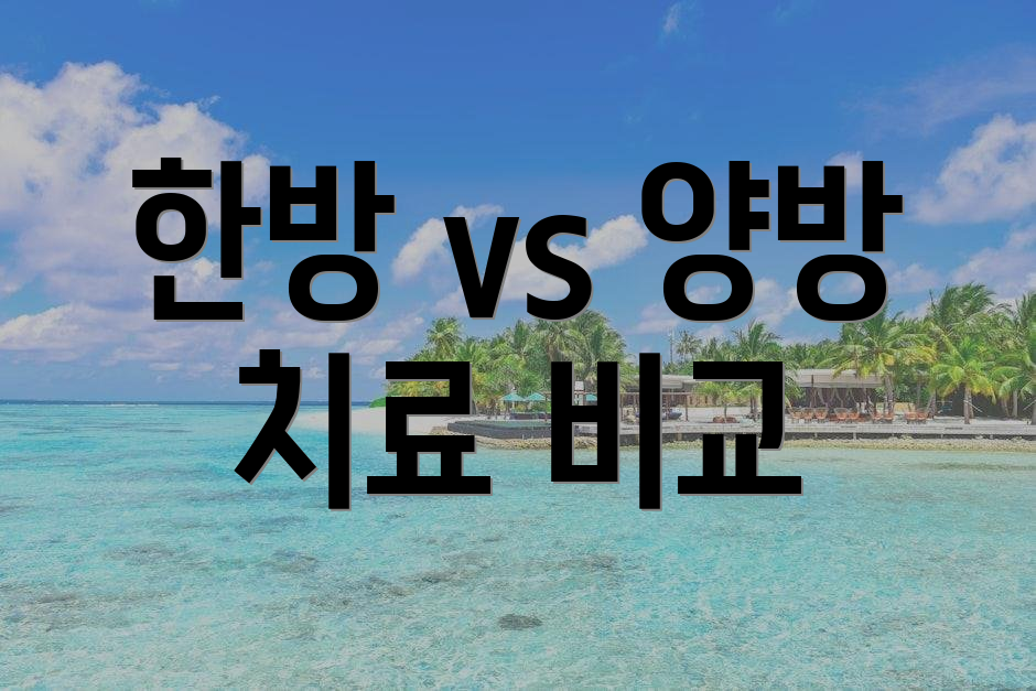 한방 vs 양방 치료 비교