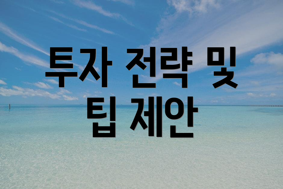 투자 전략 및 팁 제안