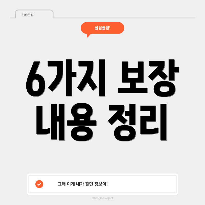 6가지 보장 내용 정리