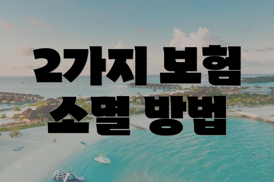 2가지 보험 소멸 방법