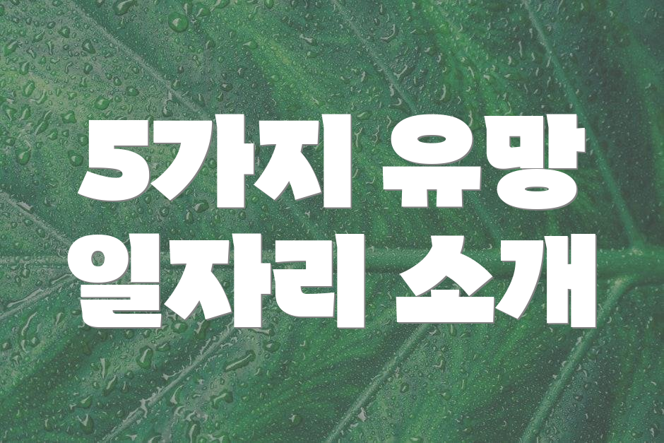 5가지 유망 일자리 소개