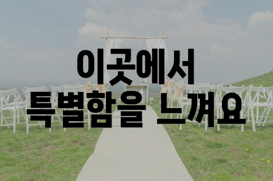 이곳에서 특별함을 느껴요