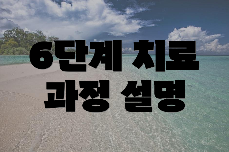 6단계 치료 과정 설명