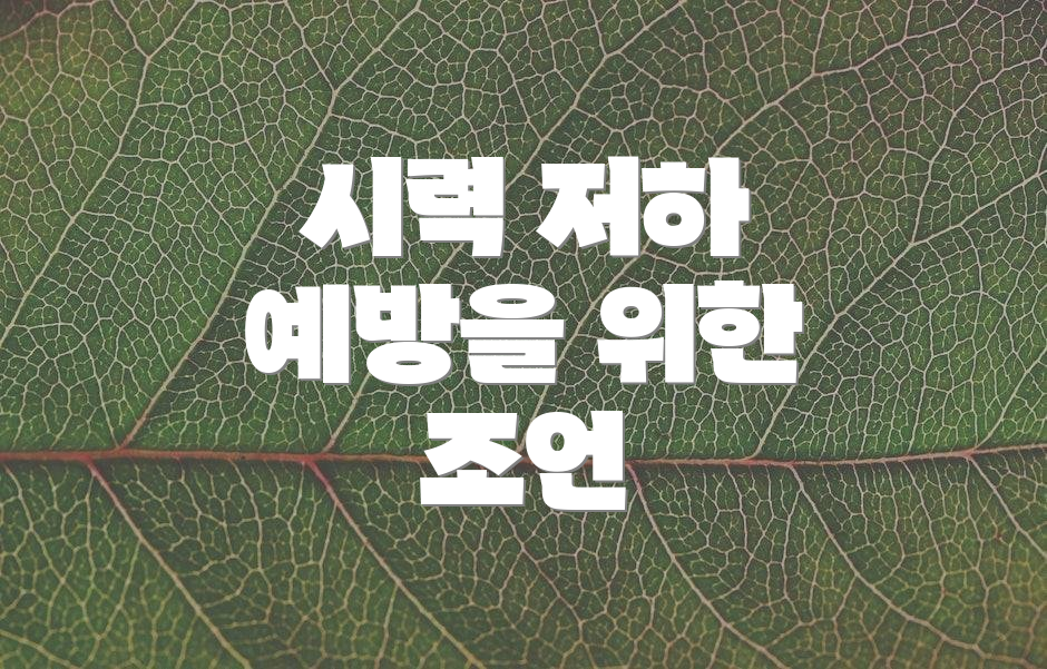 시력 저하 예방을 위한 조언