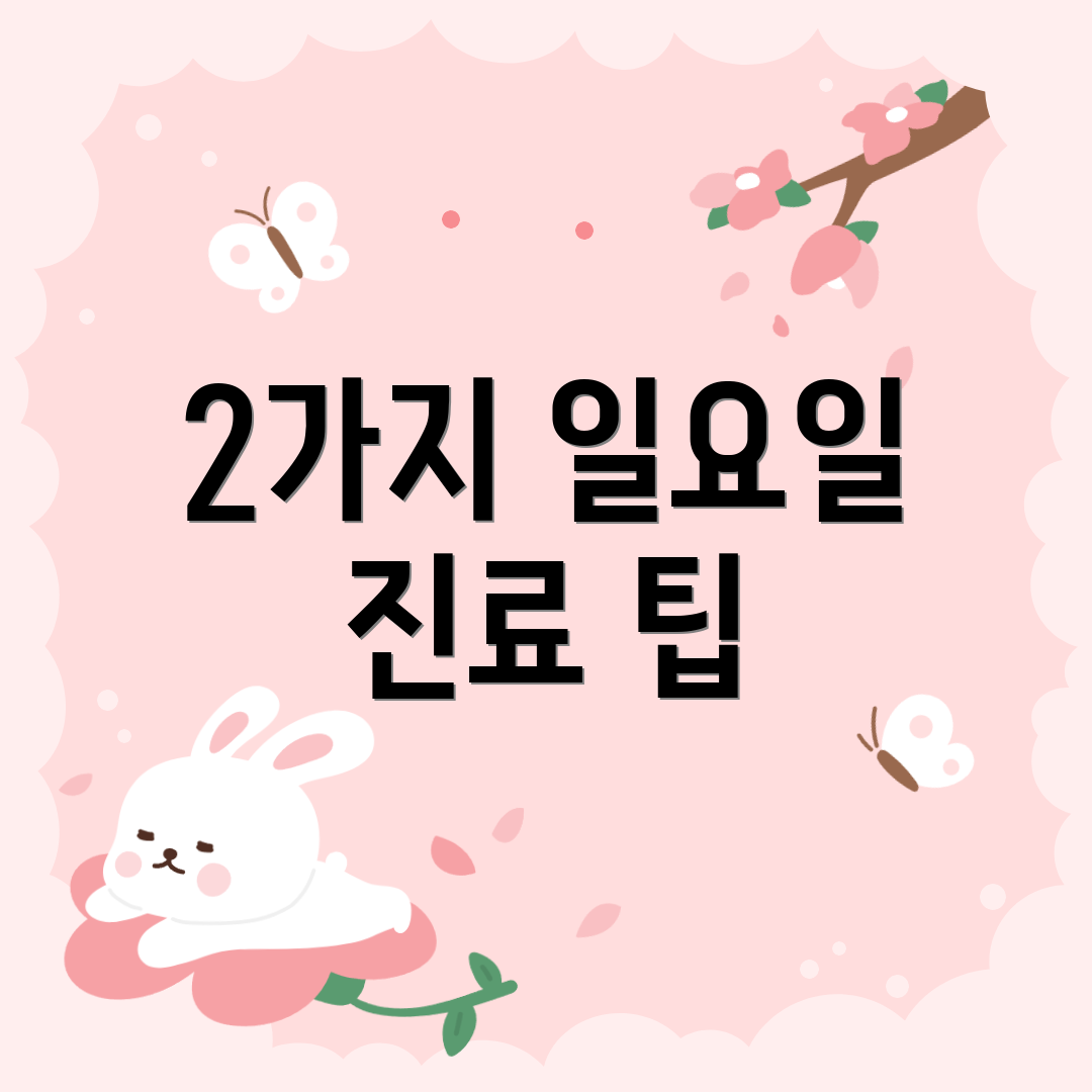 2가지 일요일 진료 팁