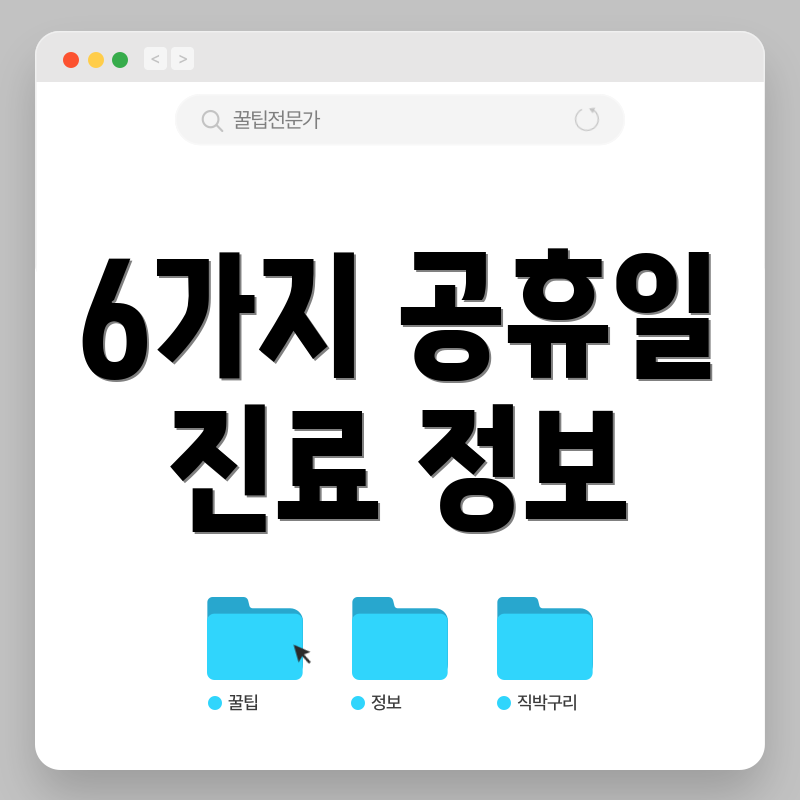 6가지 공휴일 진료 정보