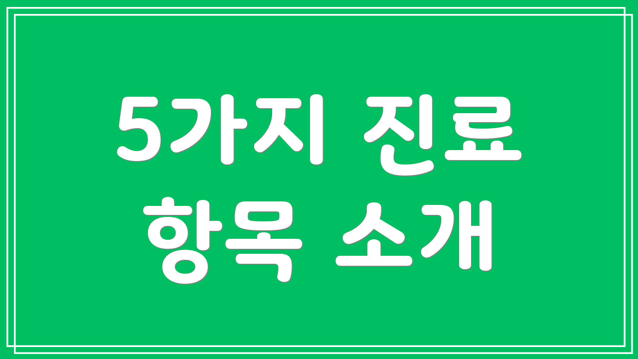 5가지 진료 항목 소개