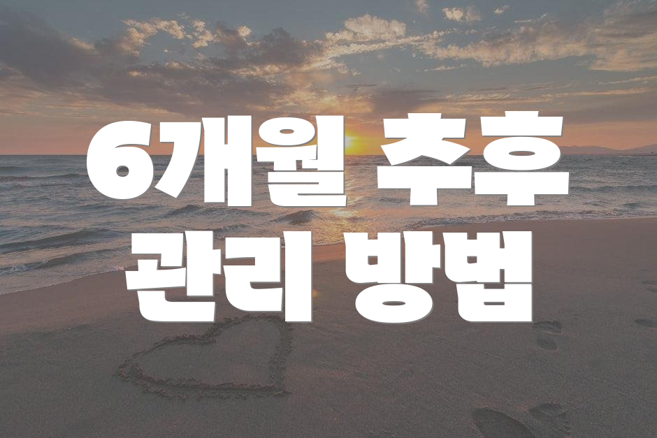 6개월 추후 관리 방법