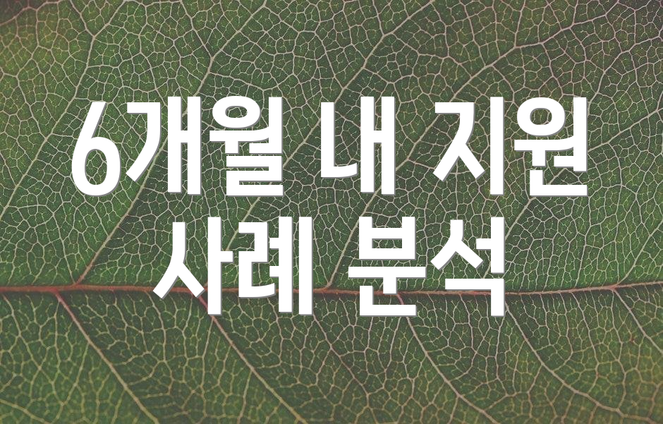 6개월 내 지원 사례 분석