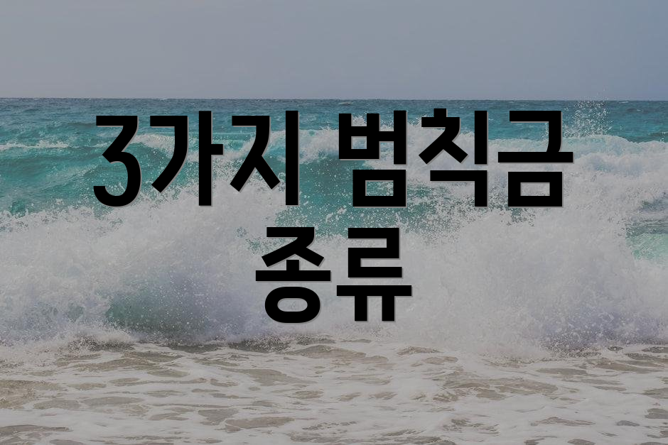 3가지 범칙금 종류