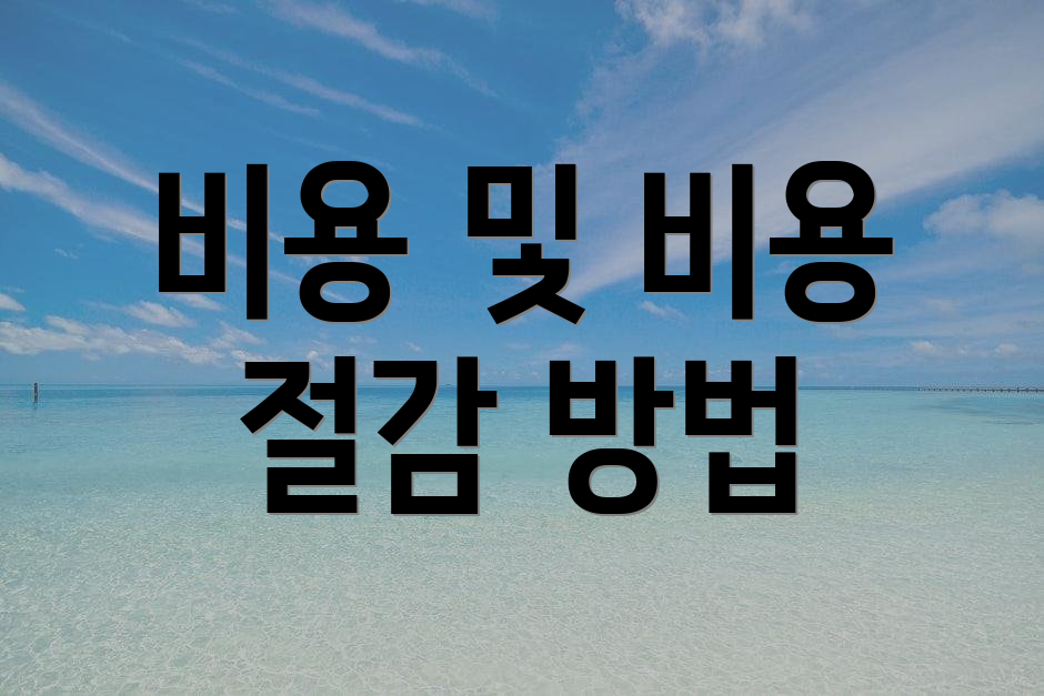 비용 및 비용 절감 방법