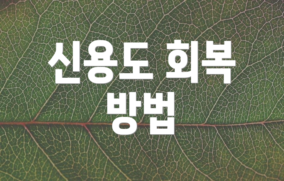 신용도 회복 방법