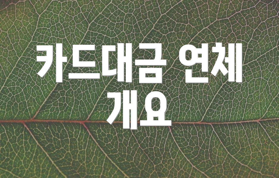 카드대금 연체 개요