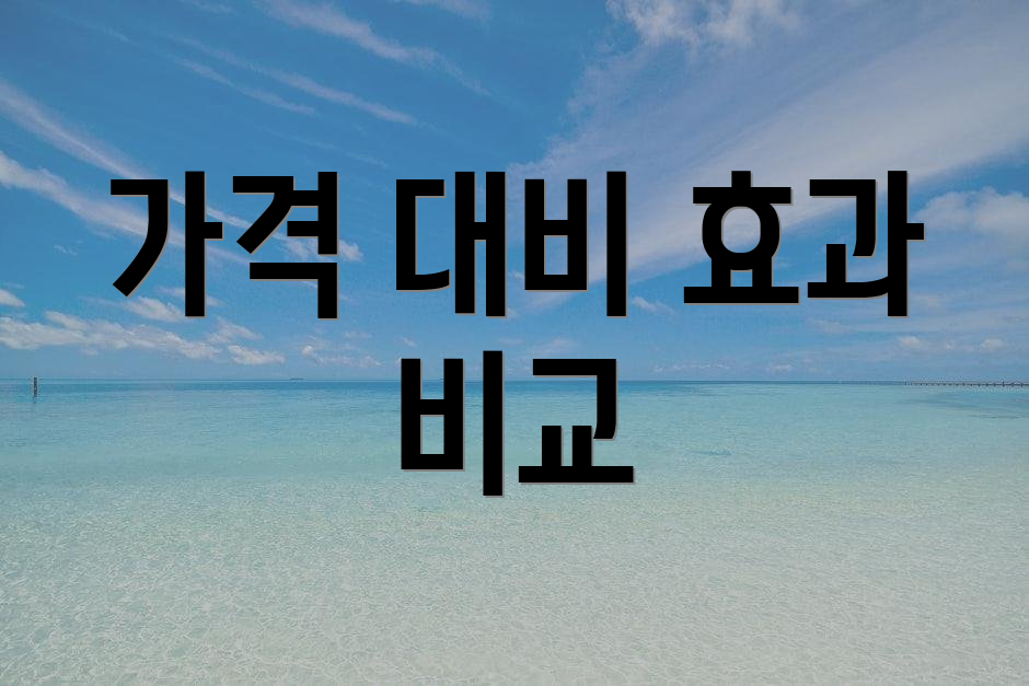 가격 대비 효과 비교