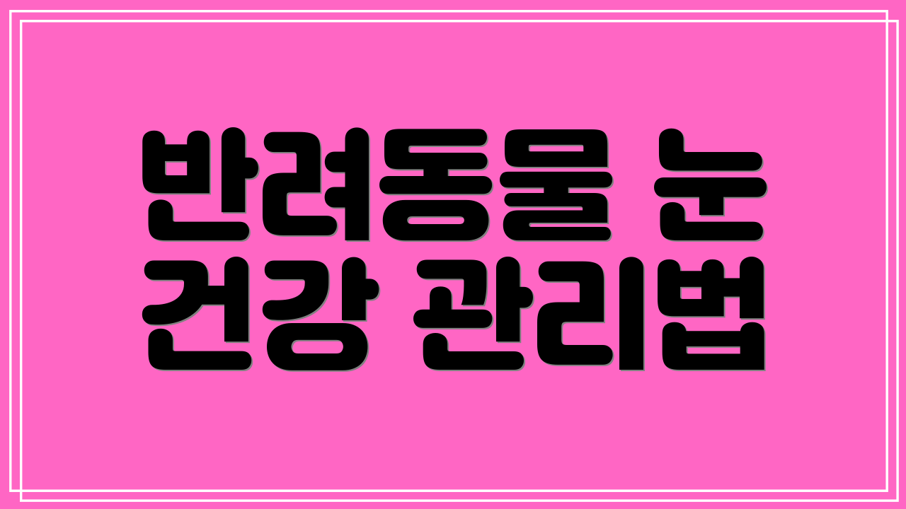 반려동물 눈 건강 관리법