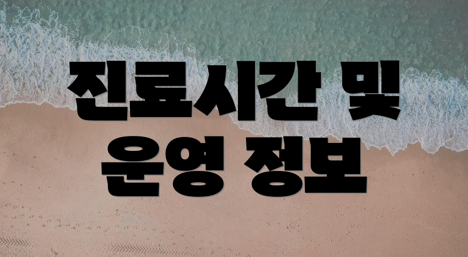 진료시간 및 운영 정보