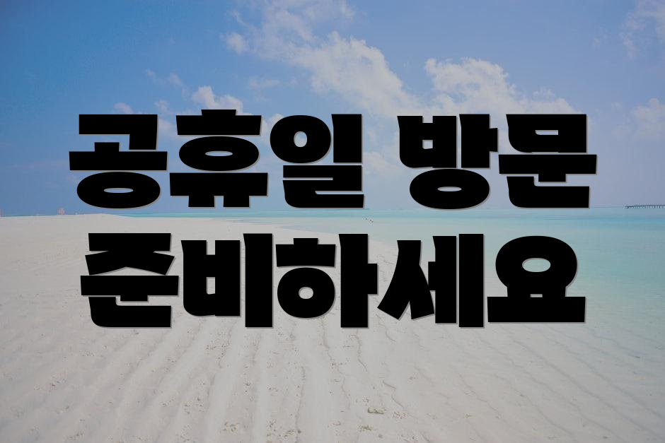 공휴일 방문 준비하세요