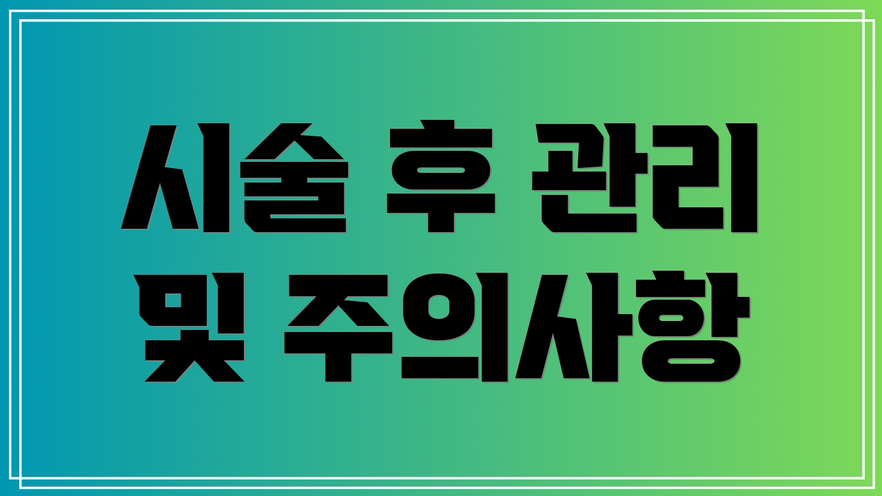 시술 후 관리 및 주의사항