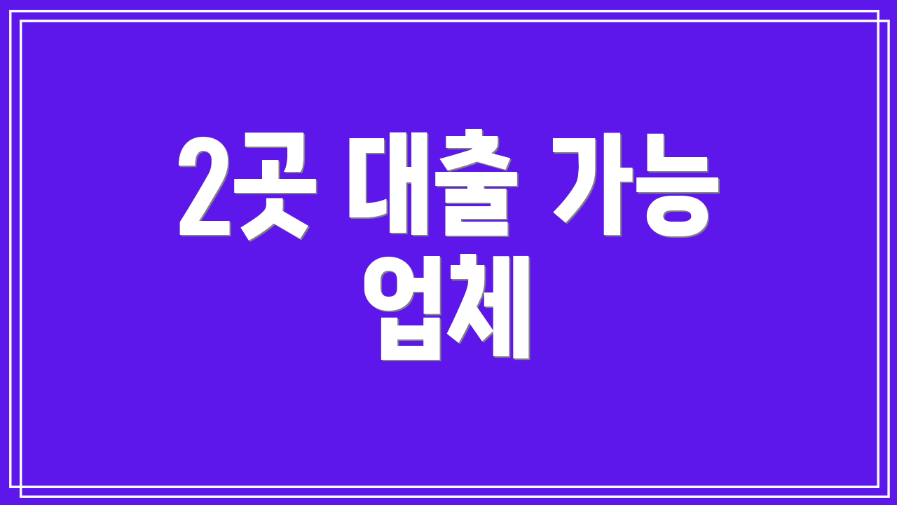 2곳 대출 가능 업체