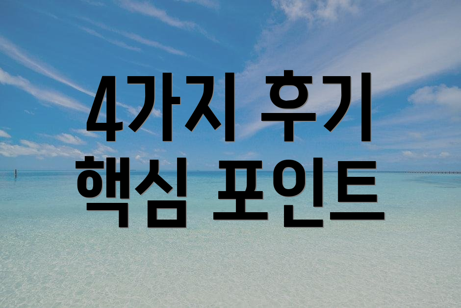 4가지 후기 핵심 포인트